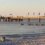 Krosse Krabbe An Der Seebruecke * Zingst
