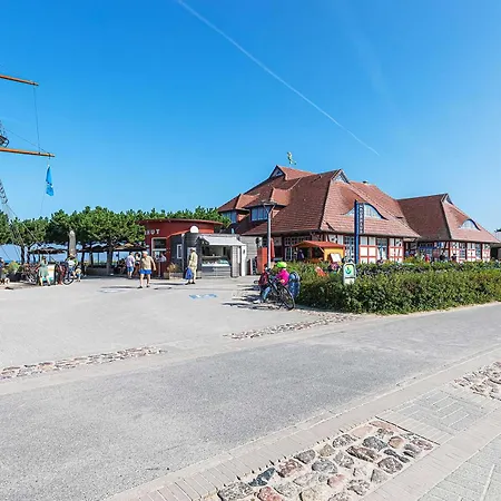 Krosse Krabbe An Der Seebruecke Zingst