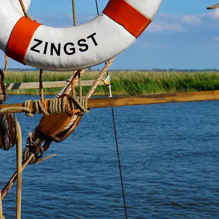 Krosse Krabbe An Der Seebruecke *