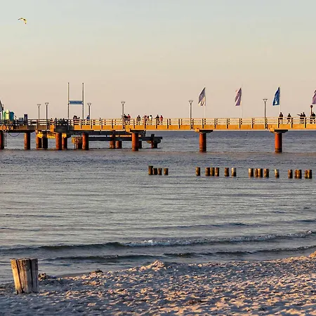 Krosse Krabbe An Der Seebruecke * Zingst