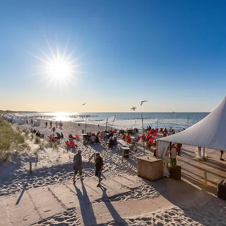 Krosse Krabbe An Der Seebruecke