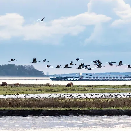 Krosse Krabbe An Der Seebruecke *